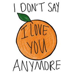 I DON'T SAY I LOVE YOU ANYMORE