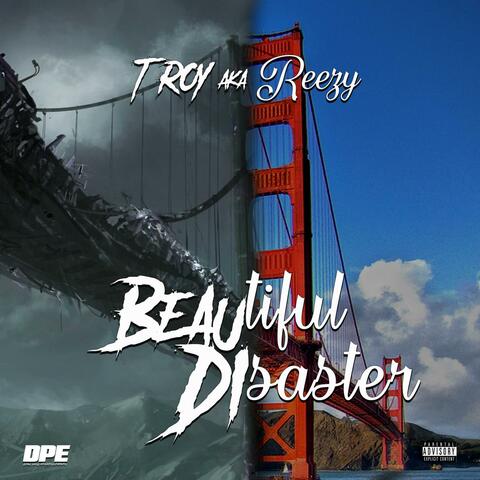 Beautiful Disaster