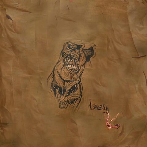 Leash