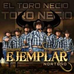 El toro necio