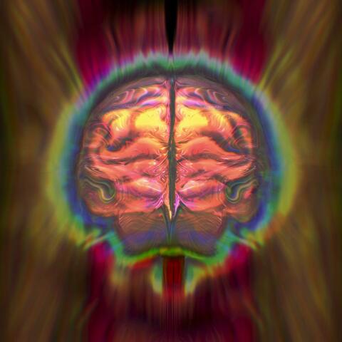Alkaloid Reaction
