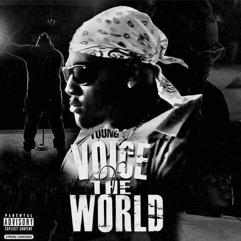 Voice Of The World