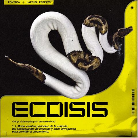 ECDISIS