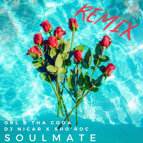 SoulMate (feat. DJ NICAR & ORL B THA CODA) [Remix]