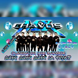 La cumbia de los gansos