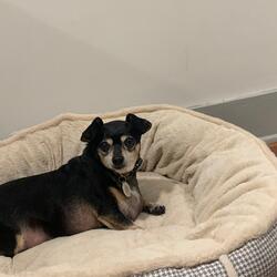 I'll Give You The Time