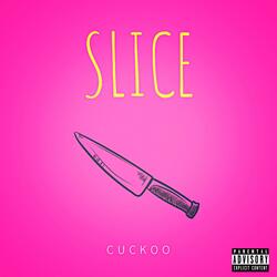 Slice
