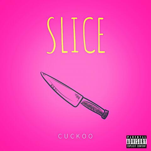 Slice