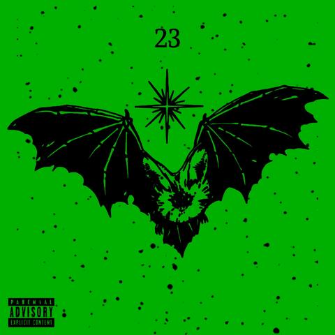 23