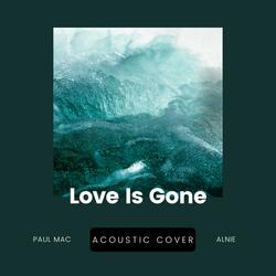 Love is Gone (feat. Alnie)