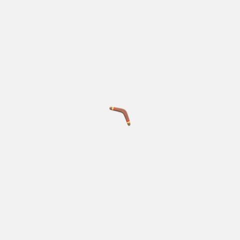Boomerang