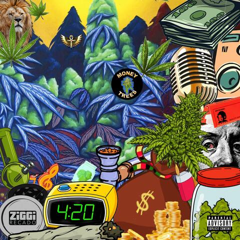 Money Trees