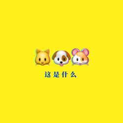 这是什么？(What is this?)
