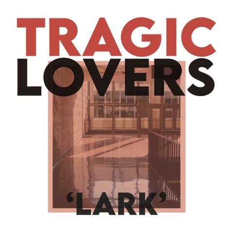 Lark