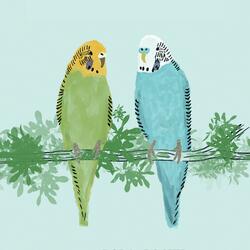 Birds Will Always Chirp