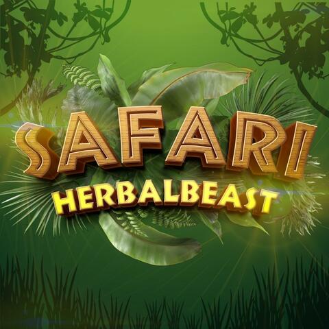 Safari