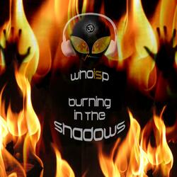 Burning in the shadows