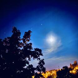 Rock Star Vibe (feat. Real KJC Member)