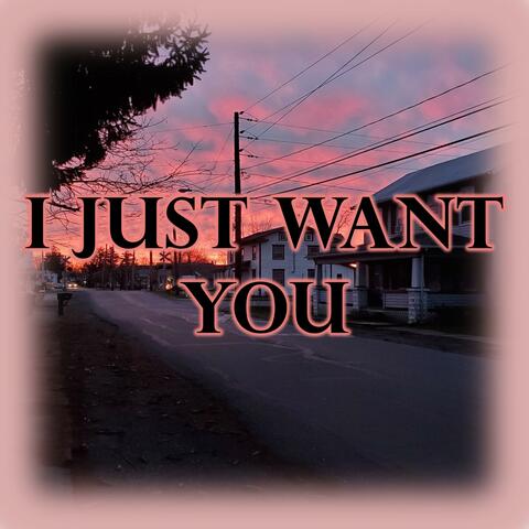 I Just Want You