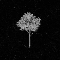 True (feat. Tony Mac)