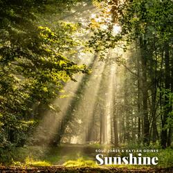 Sunshine (feat. FeeNixx)