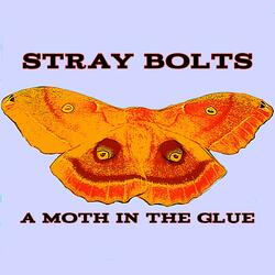 A Moth In The Glue