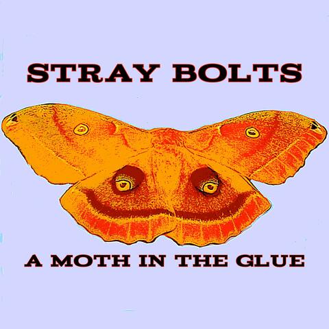 A Moth In The Glue