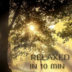 Relaxed in 10 Minutes