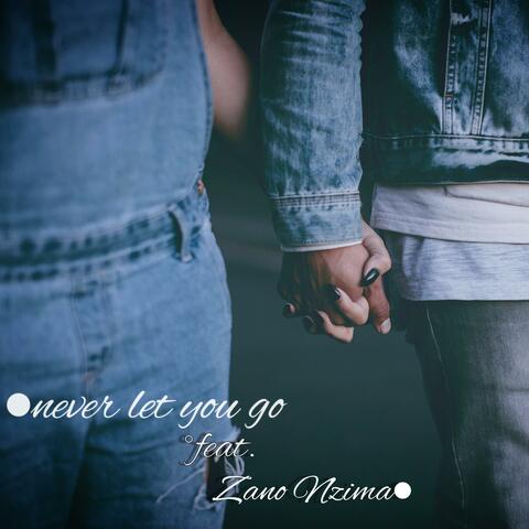 Never Let You Go (feat. Zano)