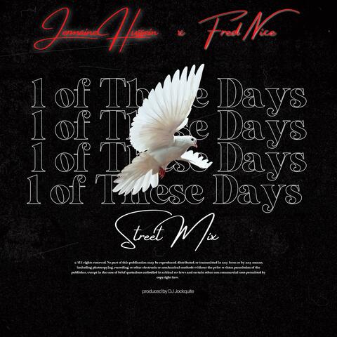 1 of These Days (feat. Fred Nice) [Street Mix]