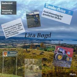 Lita Bøgd