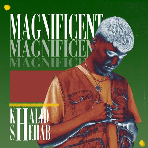 Magnificent (feat. Shehab)