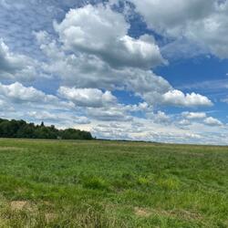 Happiest I've ever been (feat. Kobana)