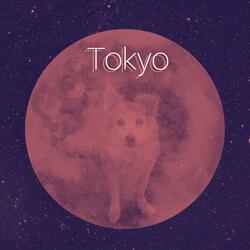 Good Night Tokyo