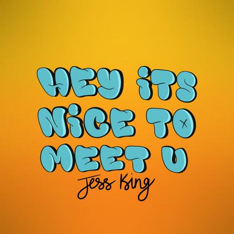 hey its nice to meet you