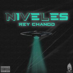 NIVELES