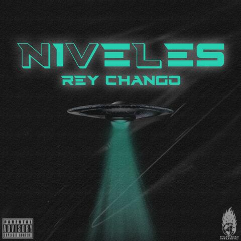 NIVELES