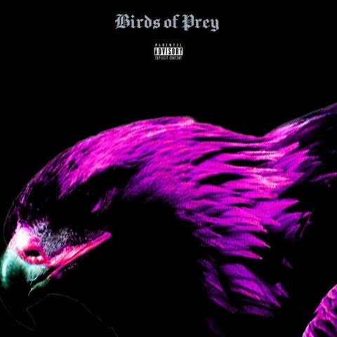 Birds of Prey