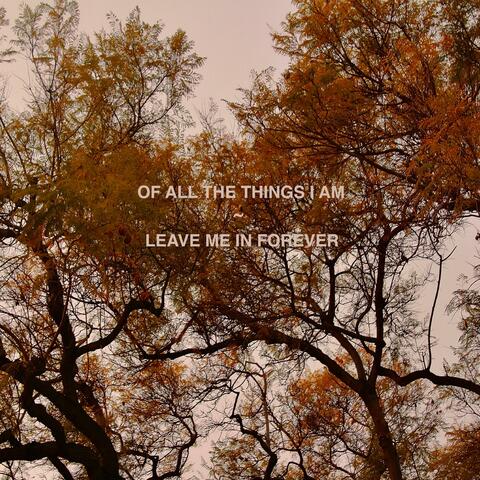 Leave me in Forever