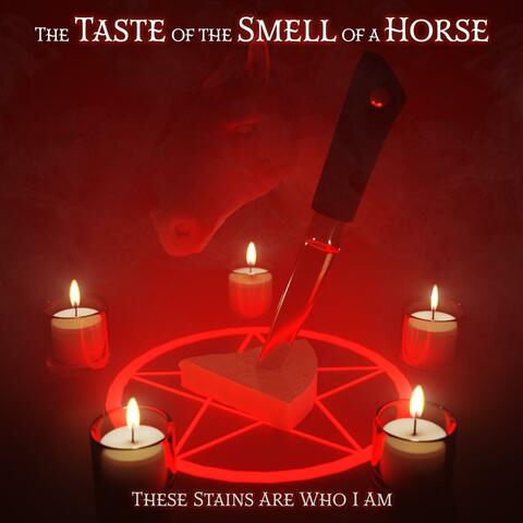 The Taste of the Smell of a Horse