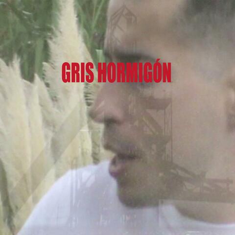 Gris Hormigon