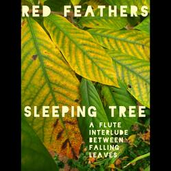 Sleeping Tree(a flute interlude between falling leaves)