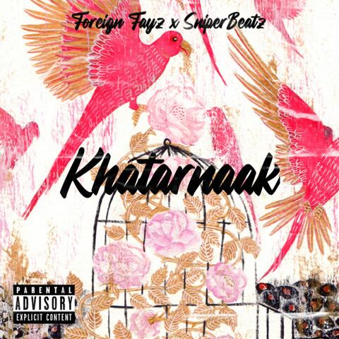 Khatarnaak (feat. Foreign Fayz)