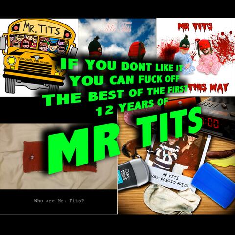 IF YOU DON'T LIKE IT YOU CAN FUCK OFF (THE BEST OF THE FIRST 12 YEARS OF MR TITS)
