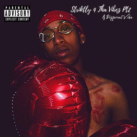 Striktly 4 Tha Vibez, Vol. 2