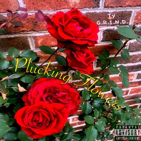 Plucking Flowers