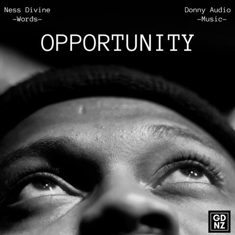 OPPORTUNITY (feat. Ness Divine)