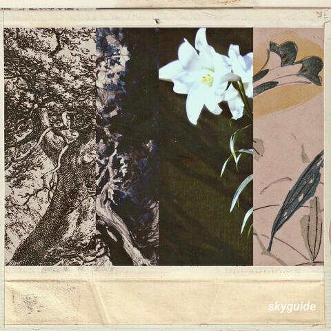 Hollowed Oaks/Peace Lily