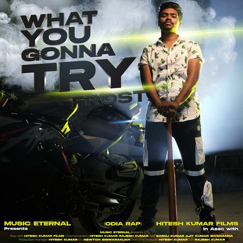 What You gonna Try (feat. Frost.)