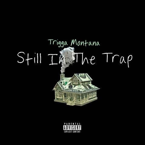 Still In The Trap